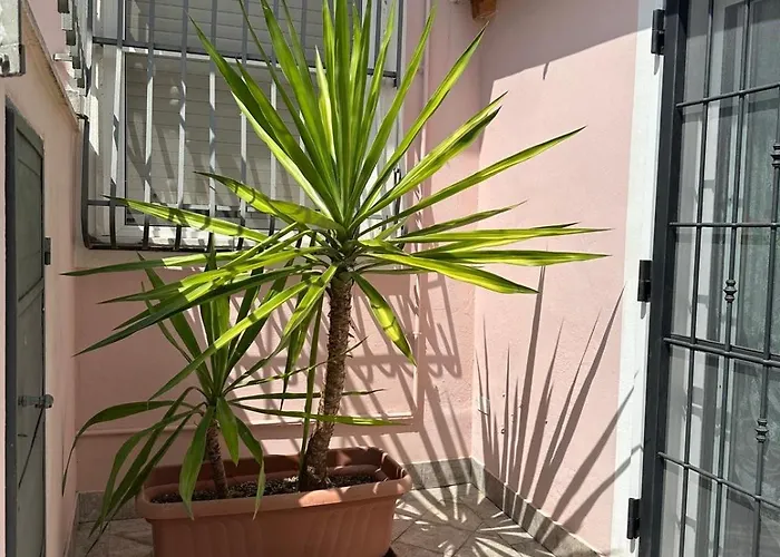 Ceriale's House Con Parcheggio Privato * 切里亚莱